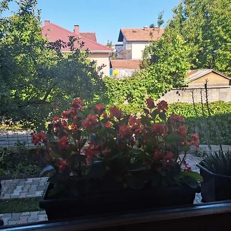 Hujic Apartmán *