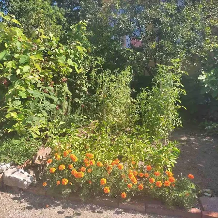 Appartement Hujic Bihać